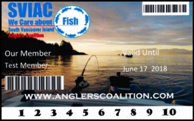 SVIAC, Fish, Advocacy, Salmon, Angling, Fishing, Halibut, Lingcod, Lobbying, Influence, Government, Chinook, Fraser, Victoria, British-Columbia, South-Vancouver-Island-Anglers-Coalition, breaking-news, updates, news-letter, news-bulletin, information, membership, buy, forty-dollars