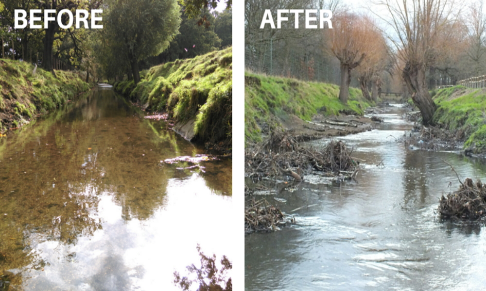 HABITAT-RESTORATION-BEFORE-AFTER-1000X600 SVIAC, Fish, Advocacy, Salmon, Angling, Fishing, Halibut, Lingcod, Lobbying, Influence, Government, Chinook, Fraser, Victoria, British-Columbia, South-Vancouver-Island-Anglers-Coalition, breaking-news, updates, news-letter, news-bulletin, information, Sooke-Chinook-Enhancement-Initiative, Hatchery, Sea-Pen