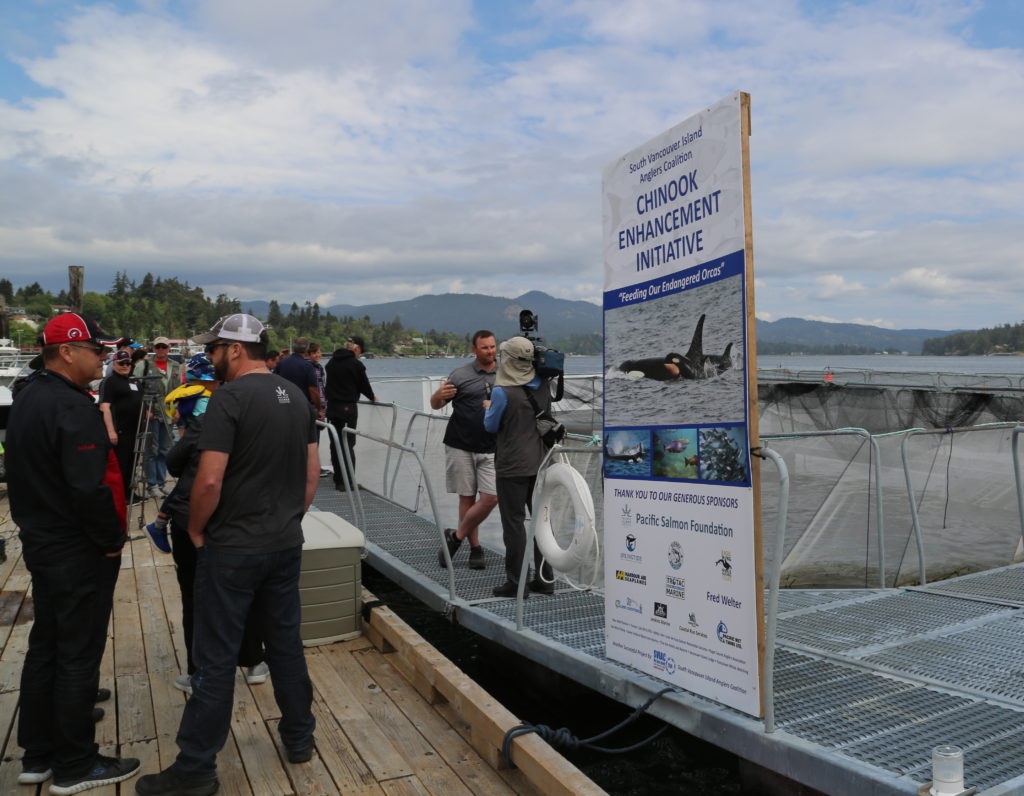 Sooke Chinook Pen Open House + Media Aug2018 SVIAC, Fish, Advocacy, Salmon, Angling, Fishing, Halibut, Lingcod, Lobbying, Influence, Government, Chinook, Fraser, Victoria, British-Columbia, South-Vancouver-Island-Anglers-Coalition, breaking-news, updates, news-letter, news-bulletin, information, Sooke-Chinook-Enhancement-Initiative, Hatchery, Sea-Pen
